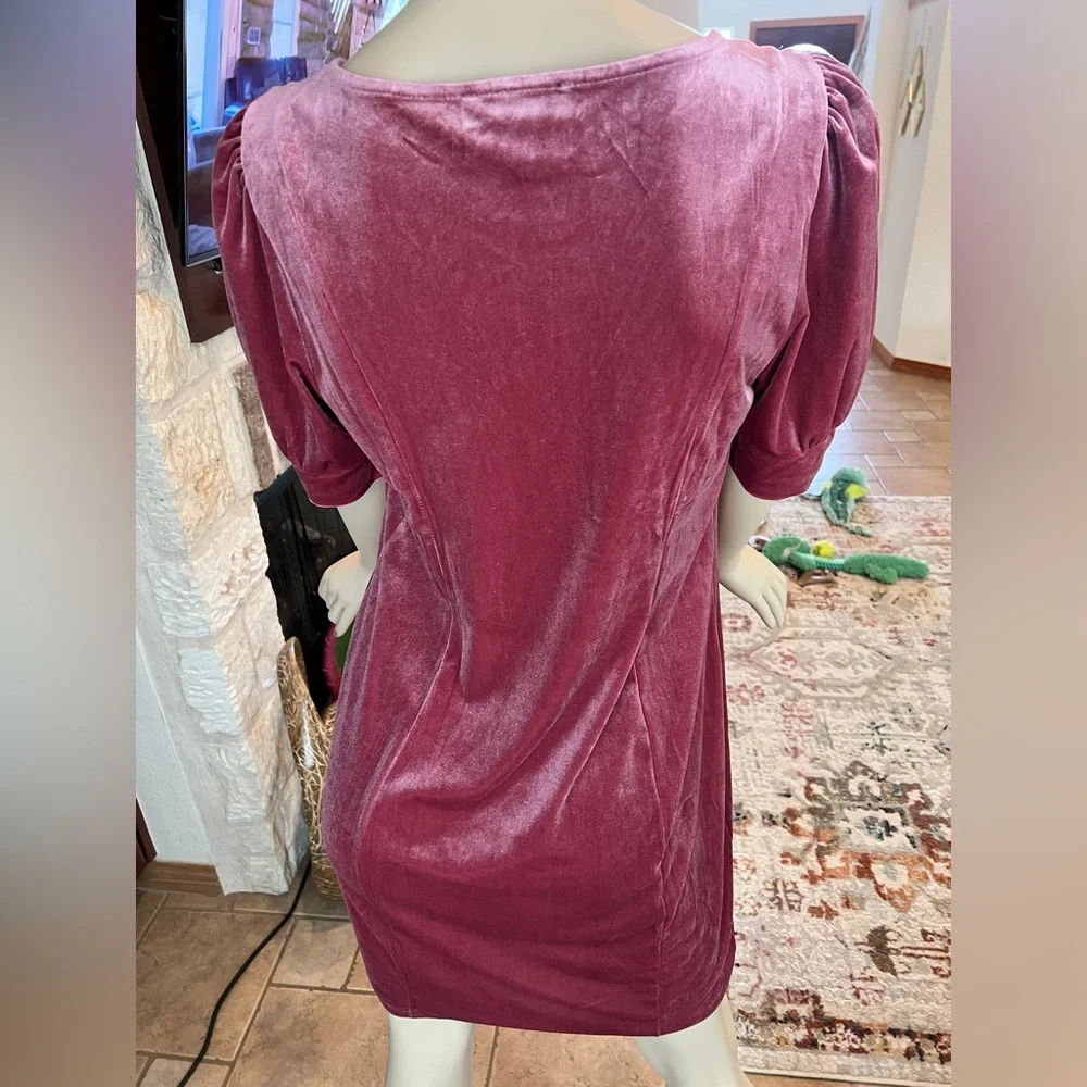 Forever 21+ Velvet Dress - Picture 5 of 8